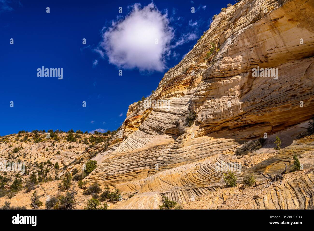 USA, Utah, Kane County, Kanab, Johnson Canyon, Felsformationen an der Johnson Canyon Road Stockfoto