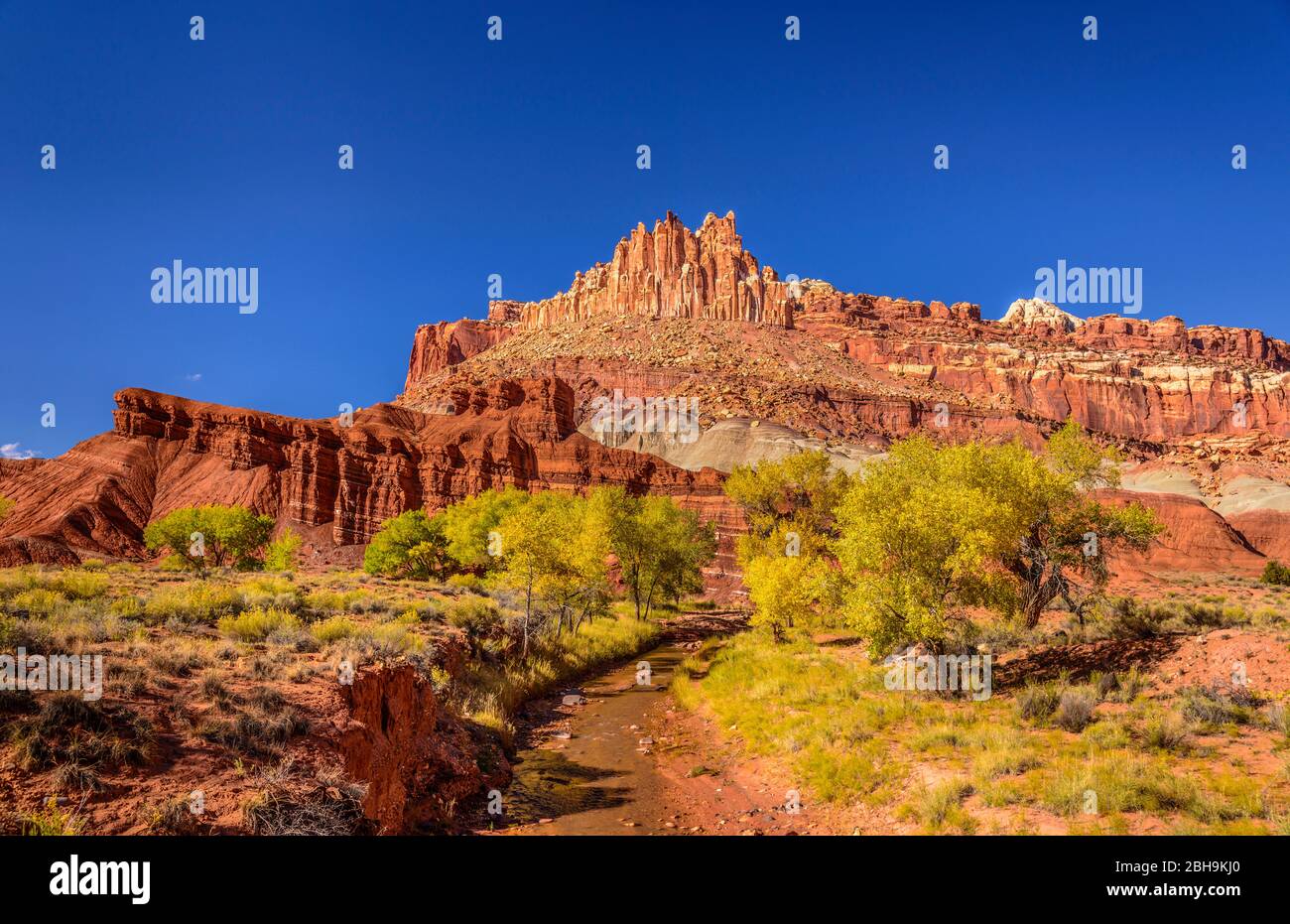 USA, Utah, Wayne County, Torrey, Capitol Reef National Park, Sulfur Creek Valley, Fruita, Castle nahe Visitor Center Stockfoto