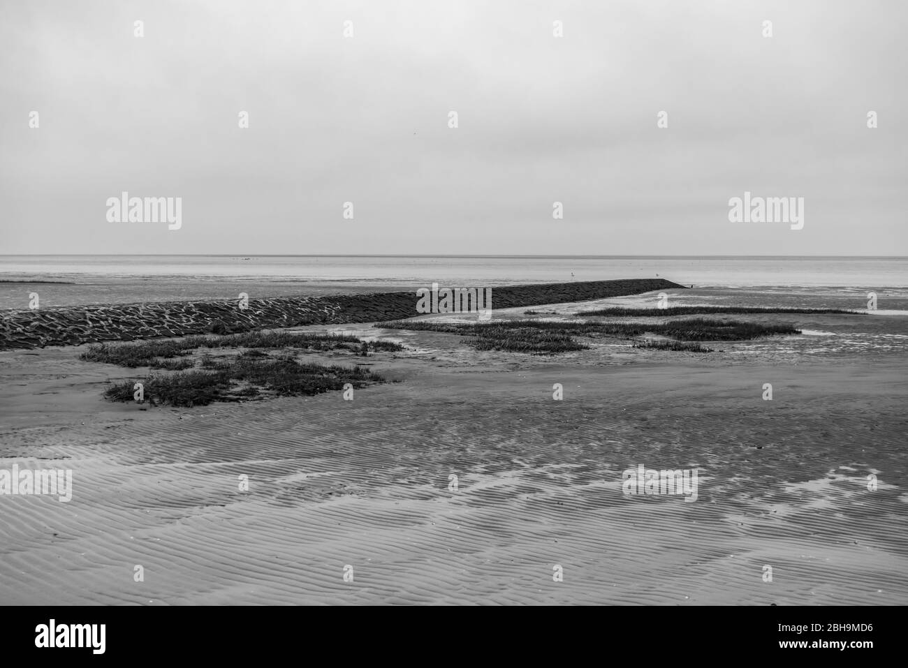Der Meeresboden bei Ebbe in der Nordsee Stockfoto