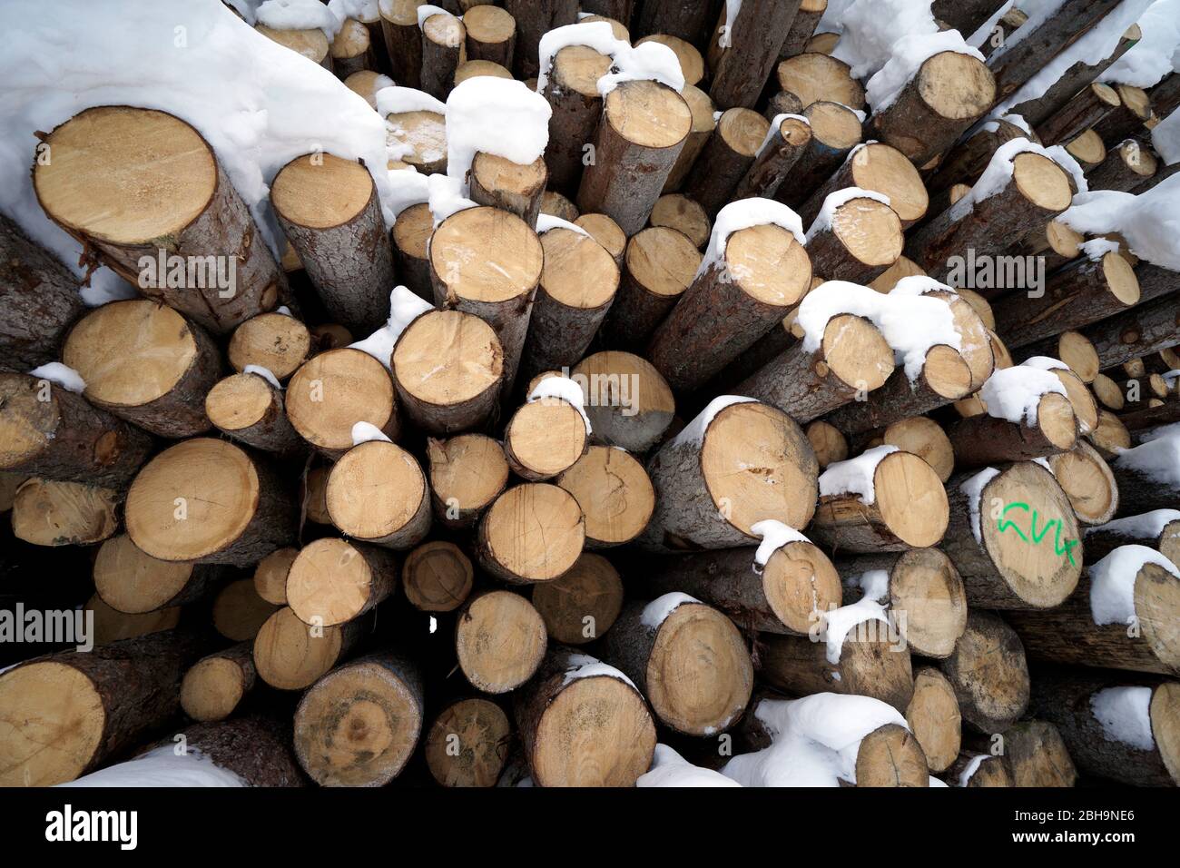 Österreich, Tirol, Stubaital, Neustift, gestapelte Baumstämme, Holzstapel, Rundholz, Winter, mit Schnee bedeckt Stockfoto