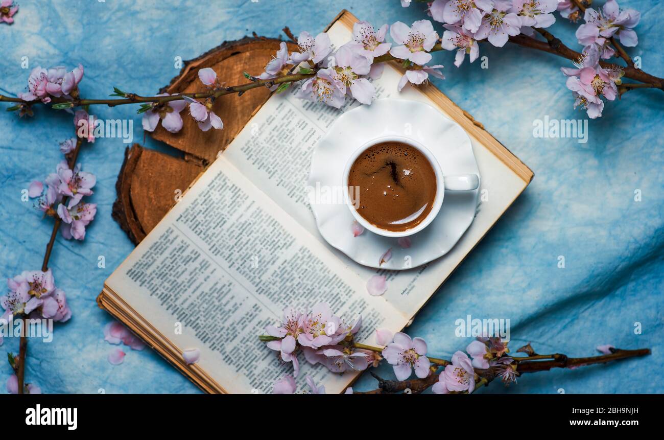 Tasse Kaffee auf einem Buch mit Kirschblütenzweigen. Frühling und Sakura abstrakt, Lektüre Leasure Zeit Stockfoto