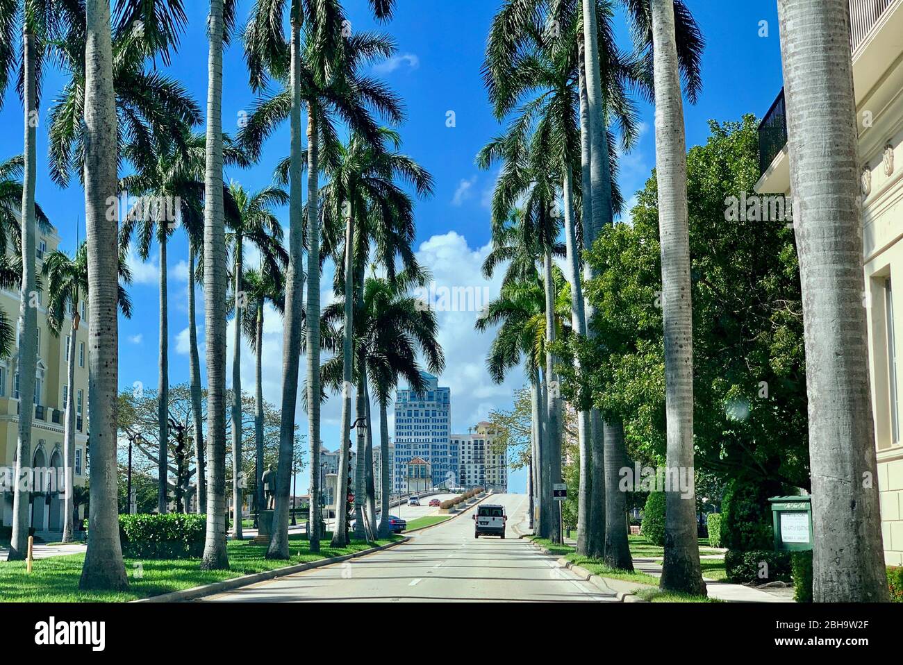Palm Range, Palm Beach, Palm Beach County, Florida, USA, Nordamerika Stockfoto