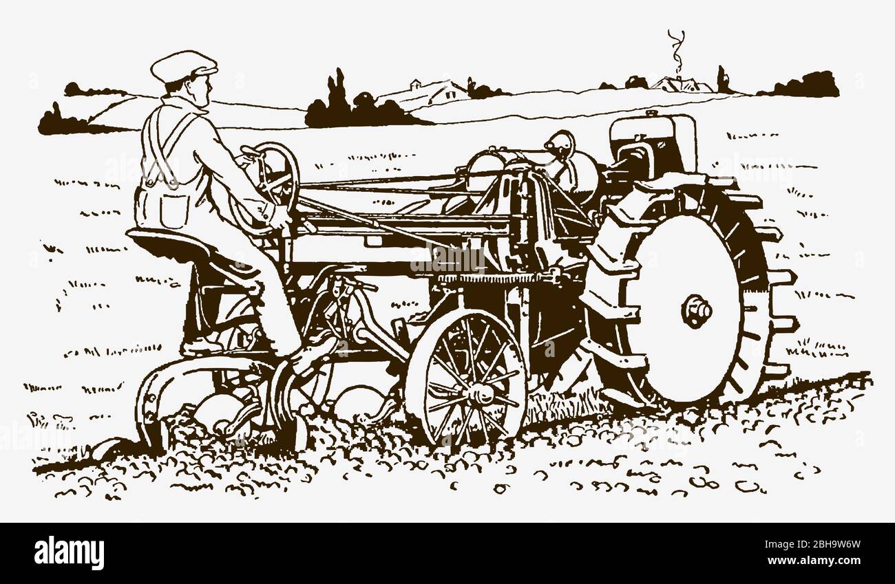 Historischer Landwirt, der einen Traktor Pflug in einem Feld in drei Viertel Rückansicht fährt. Illustration nach einem Stich aus dem frühen 20. Jahrhundert Stock Vektor