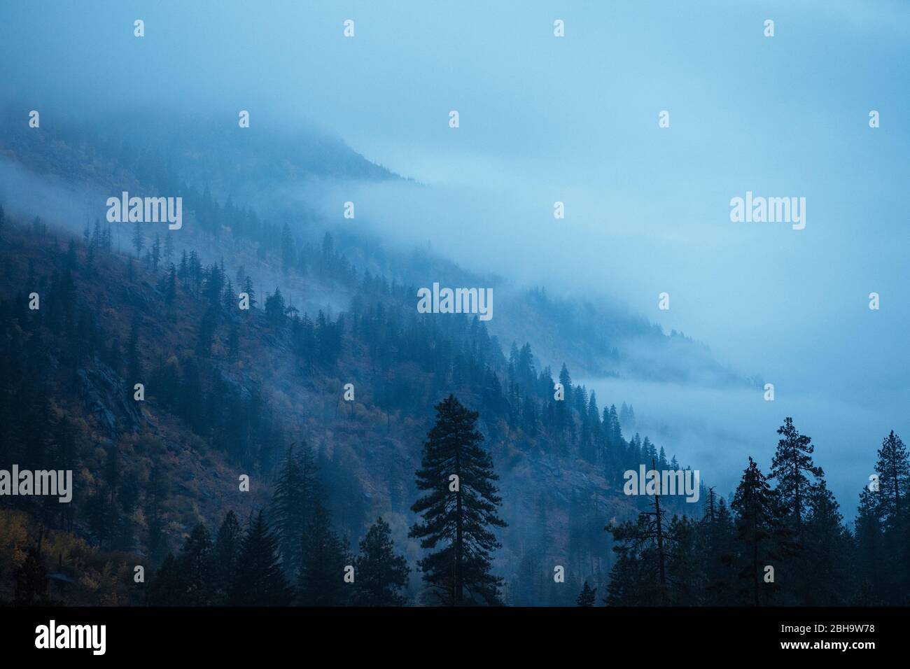 Luftaufnahme des Nebels auf den Bergen, Leavenworth, Washington, USA Stockfoto