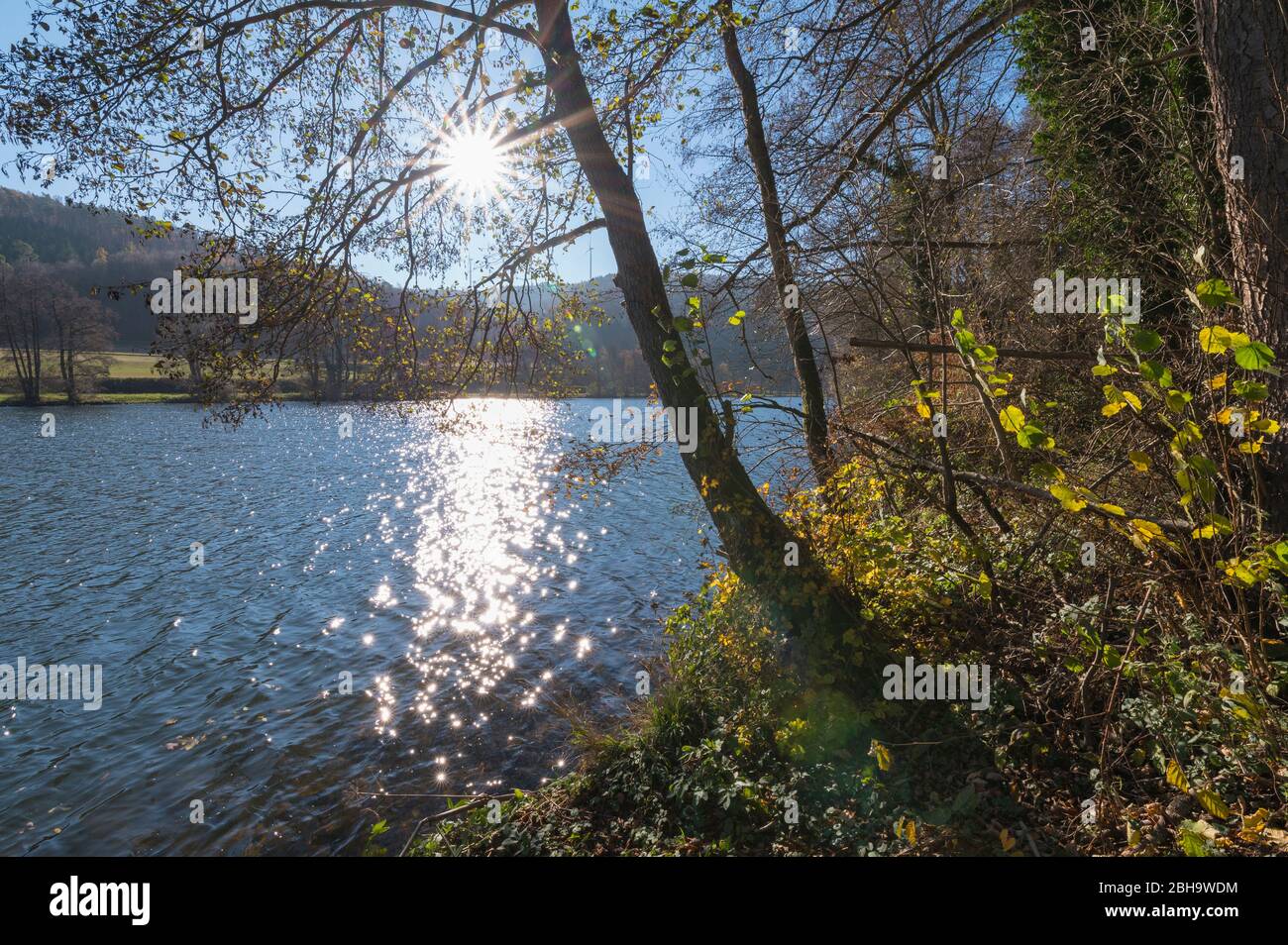 Flussufer mit Sonne am Main, Dorfprozelten, Untermain, Churfranken, Spessart, Bayern, Deutschland Stockfoto