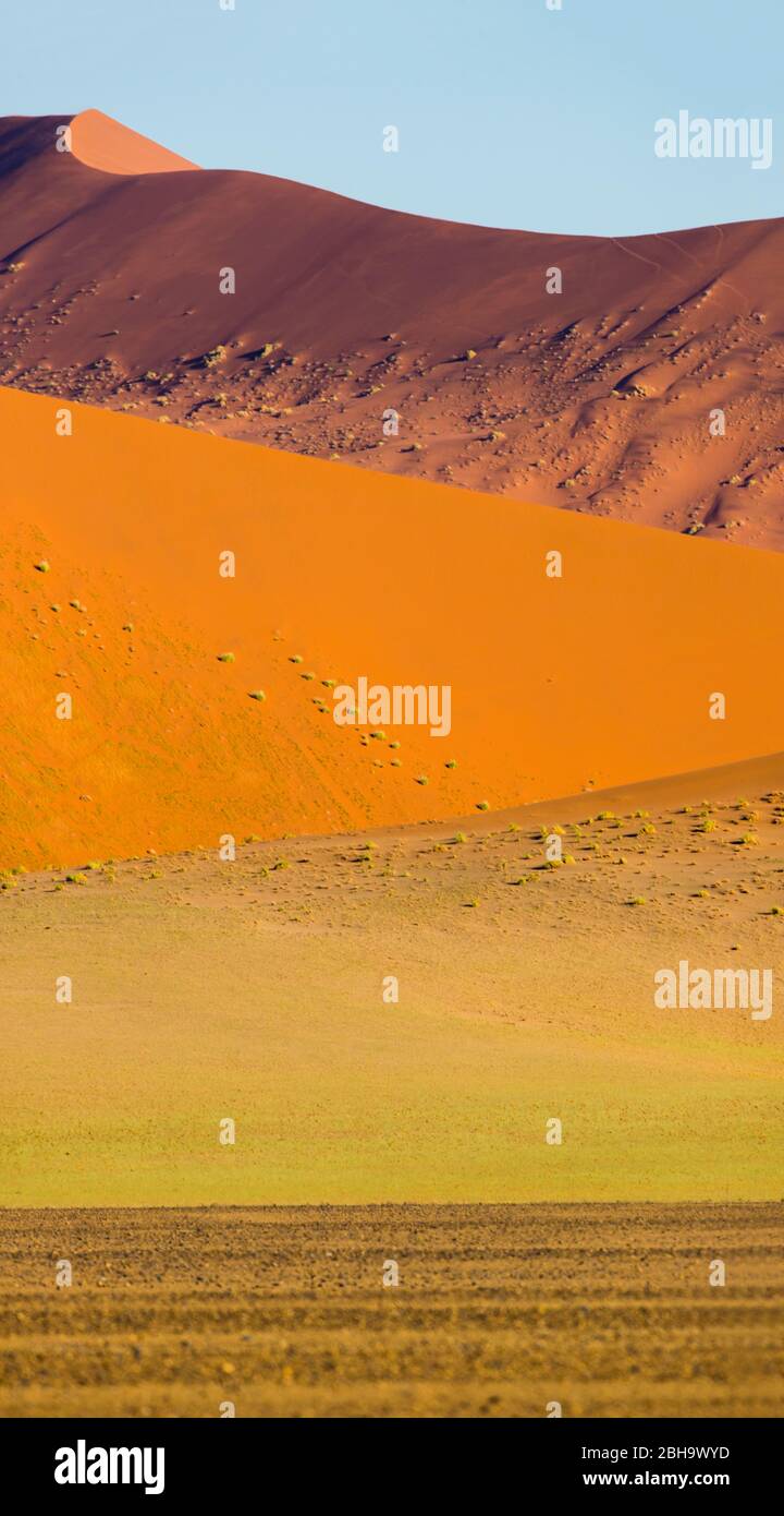 Blick auf Wüste und Dünen, Sossusvlei, Namibia Stockfoto