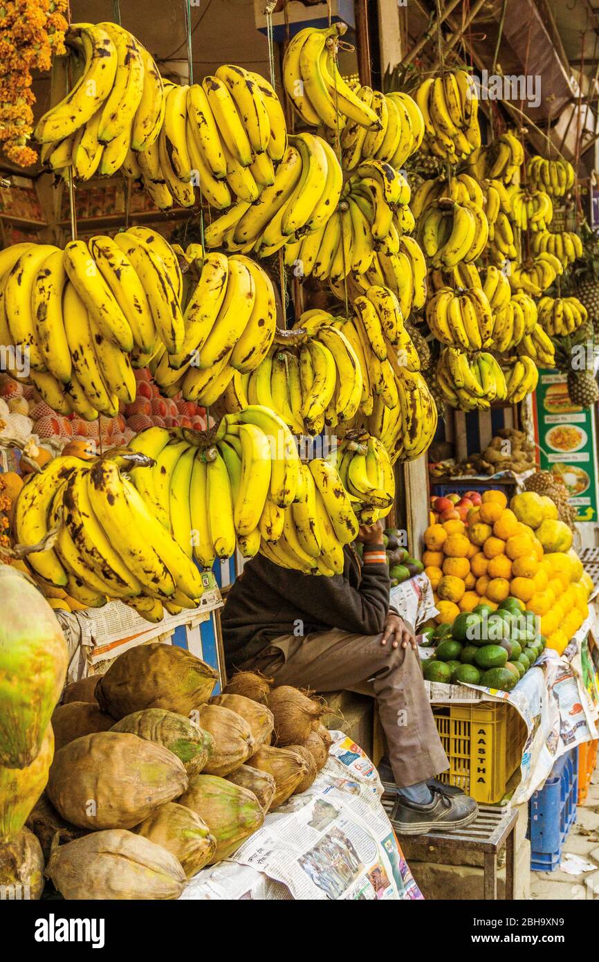 Bananenständer mit Verkäufer im Hintergrund, Marktstand, Obstverkäufer am Straßenrand Stockfoto