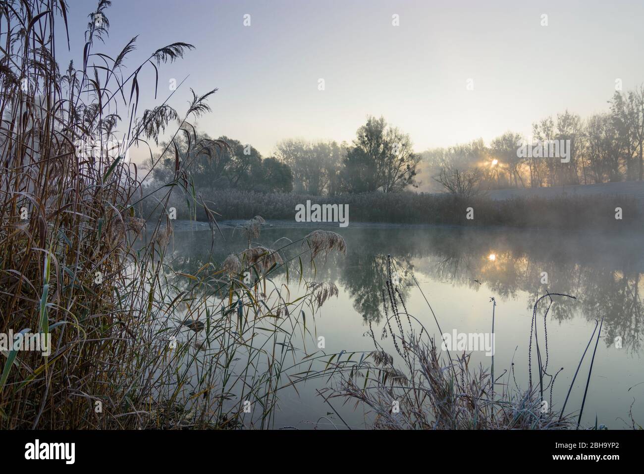 Nationalpark Donau-Auen, Nationalpark Donau-Auen: oxbow See am Nationalpark Donau-Auen, Lobau Gebiet in der Nähe von Schönau an der Donau, Niederösterreich, Niederösterreich, Österreich Stockfoto