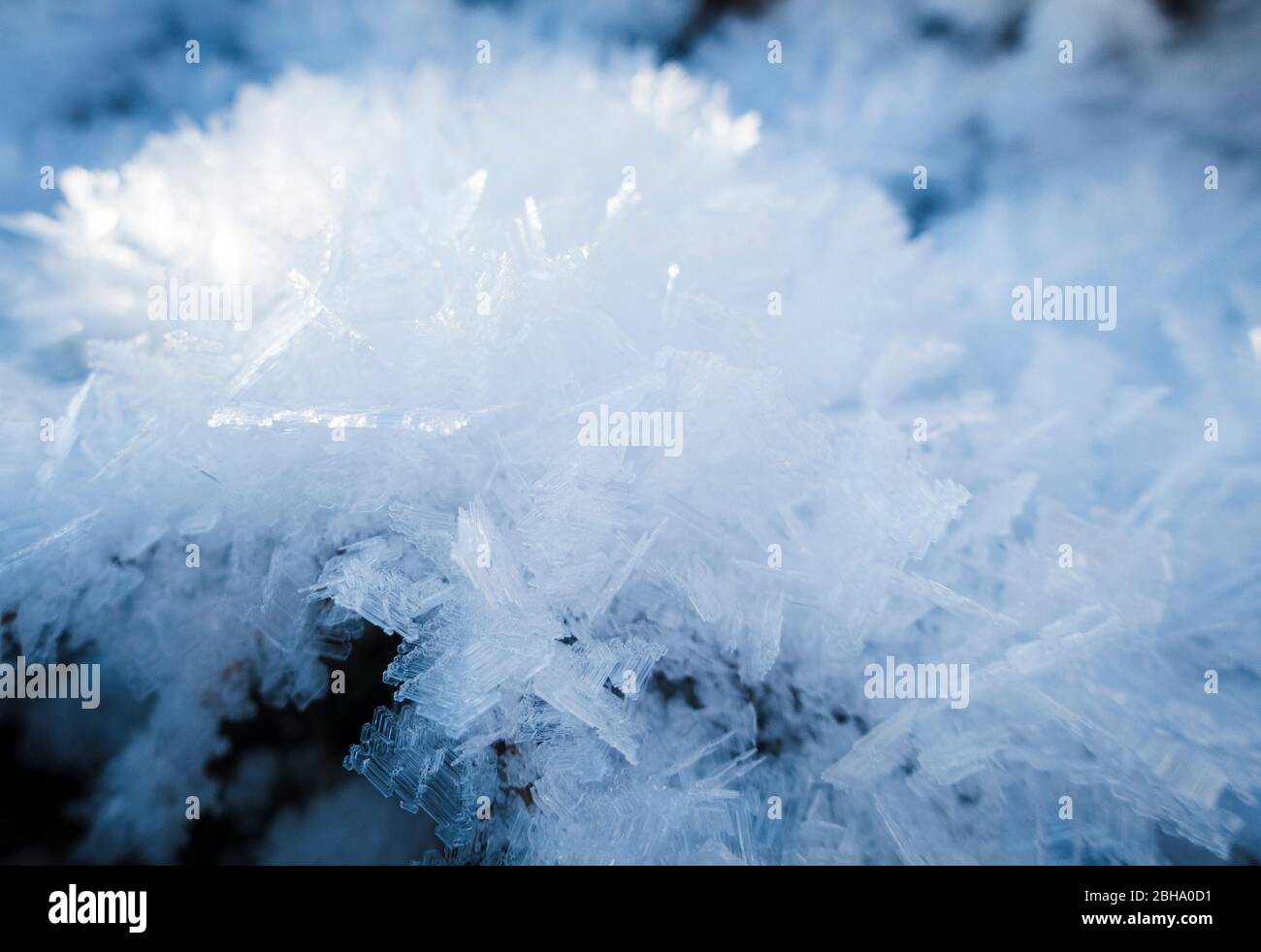 Sauerland, Schnee und Eiskristalle auf Pflanzen, Kunstwerke der Natur, weiß, Winter, kalt, Frost, Stockfoto