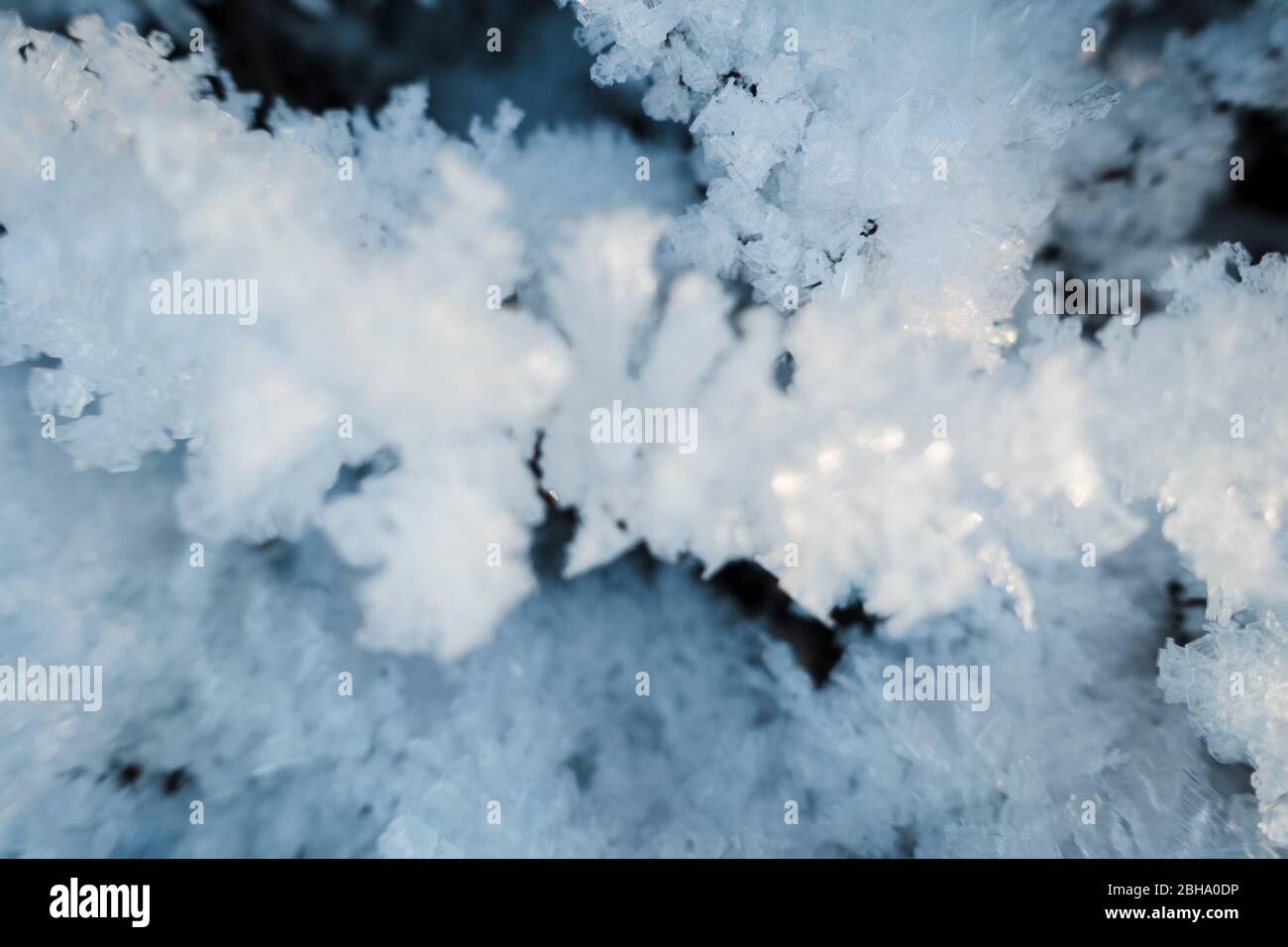 Sauerland, Schnee und Eiskristalle auf Pflanzen, Kunstwerke der Natur, weiß, Winter, kalt, Frost, Stockfoto
