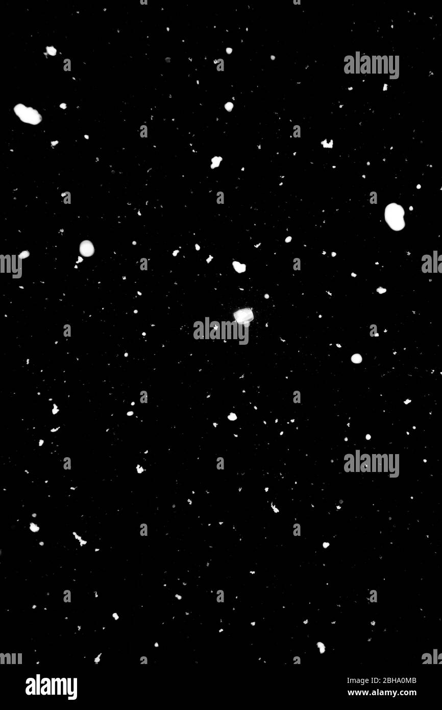 Schneeflocken in der Nacht Stockfoto