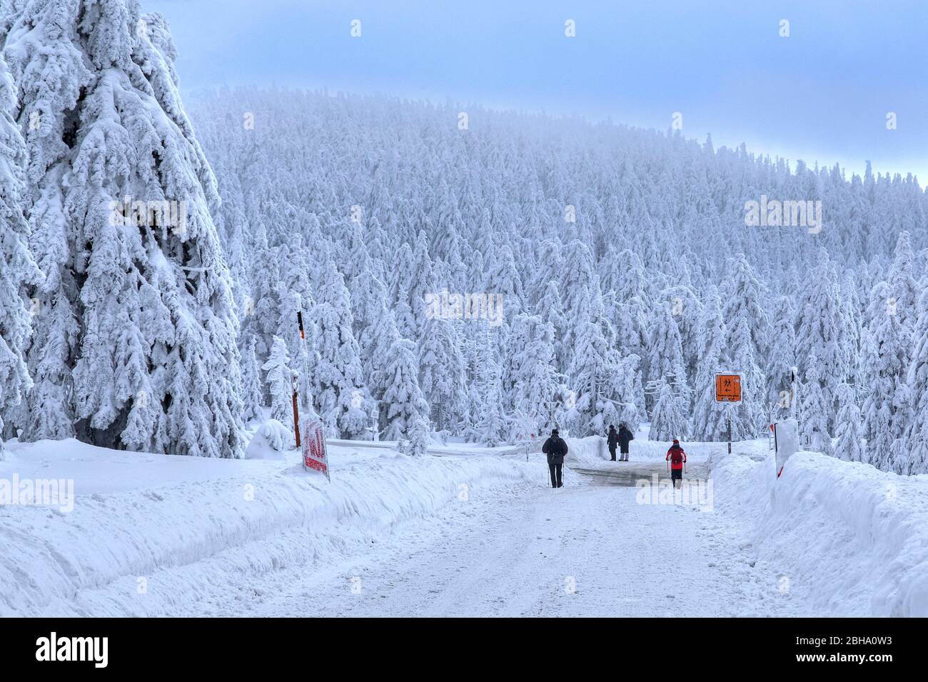 Winterlandschaft am Brocken, Wernigerode, Naturpark Harz, Sachsen-Anhalt, Deutschland Stockfoto