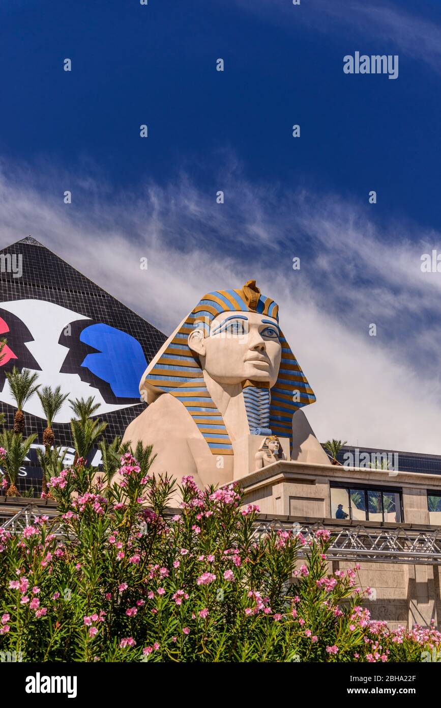 USA, Nevada, Clark County, Las Vegas, Las Vegas Boulevard, The Strip, Luxor Hotel and Casino, Pyramide mit Sphinx Stockfoto