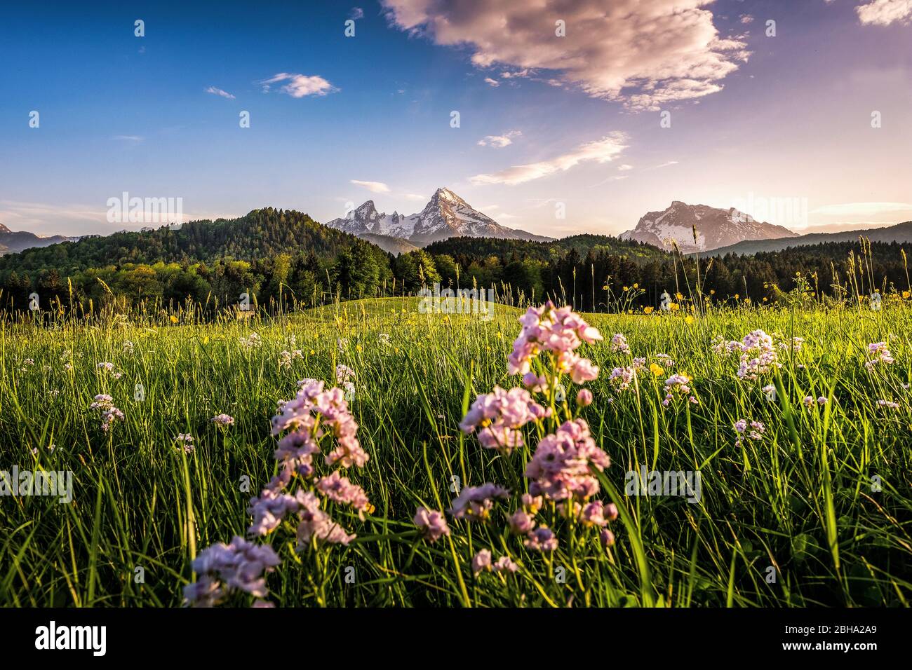 Idyllische Landschaft im Berchtesgadener Land Stockfoto