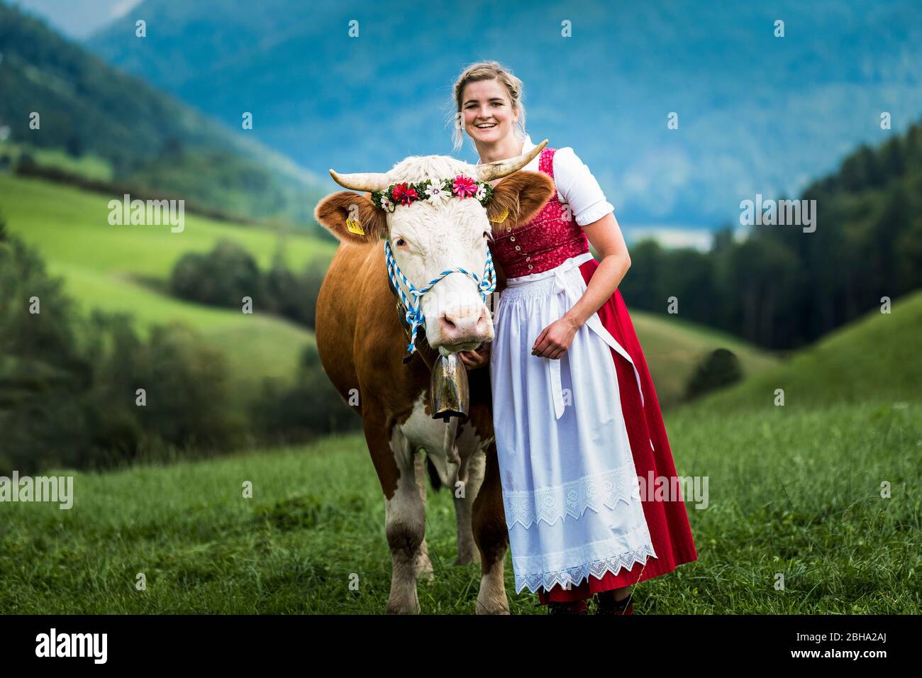 Traditionelle Almabtrieb (Rückkehr von Rindern von den Almen ins Tal im Herbst), Frau im Dirndl-Kleid mit geschmückter Kuh Stockfoto