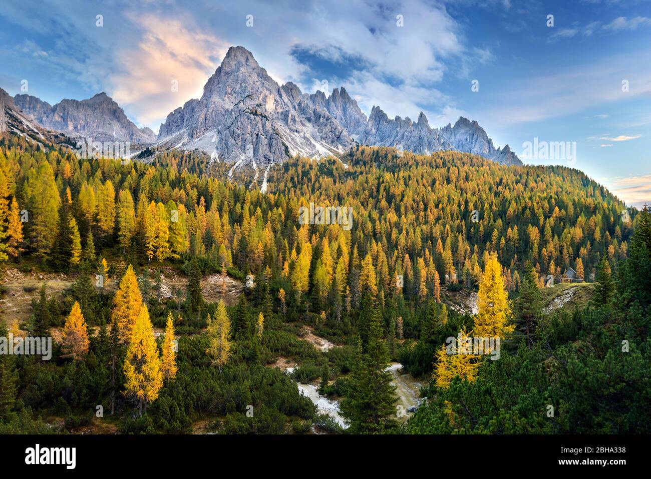Wälder, Cadini di Misurina, Auronzo di Cadore, Dolomiten, Alpen, Tirol, Belluno, Italien, Europa Stockfoto