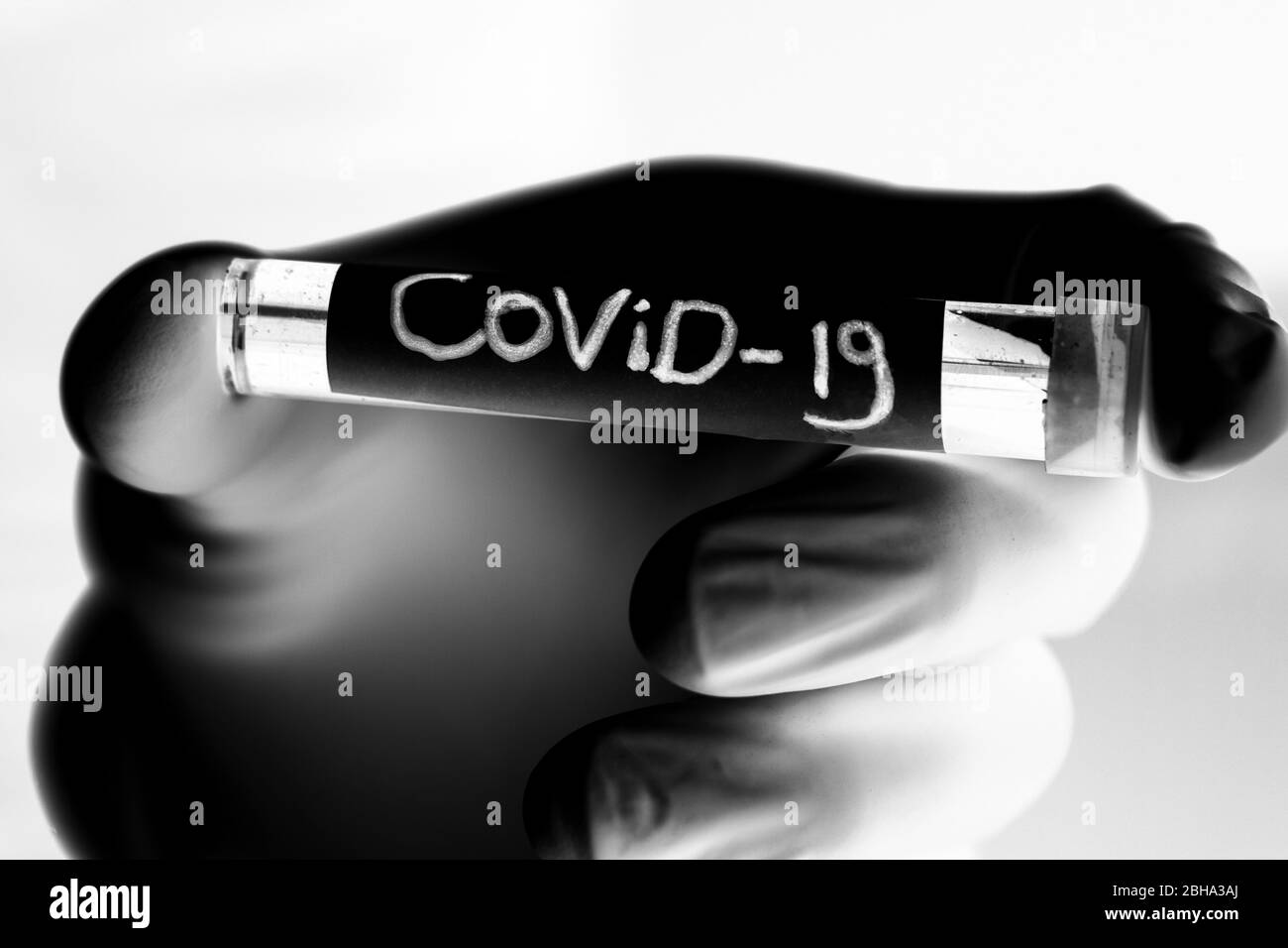 Covid-19 Blutprobe, Arzt mit medizinischen Handschuhen, die ein Blutrohr mit positiver Coronavirus 2019-nCoV Blutprobe halten. Schwarz und weiß Stockfoto