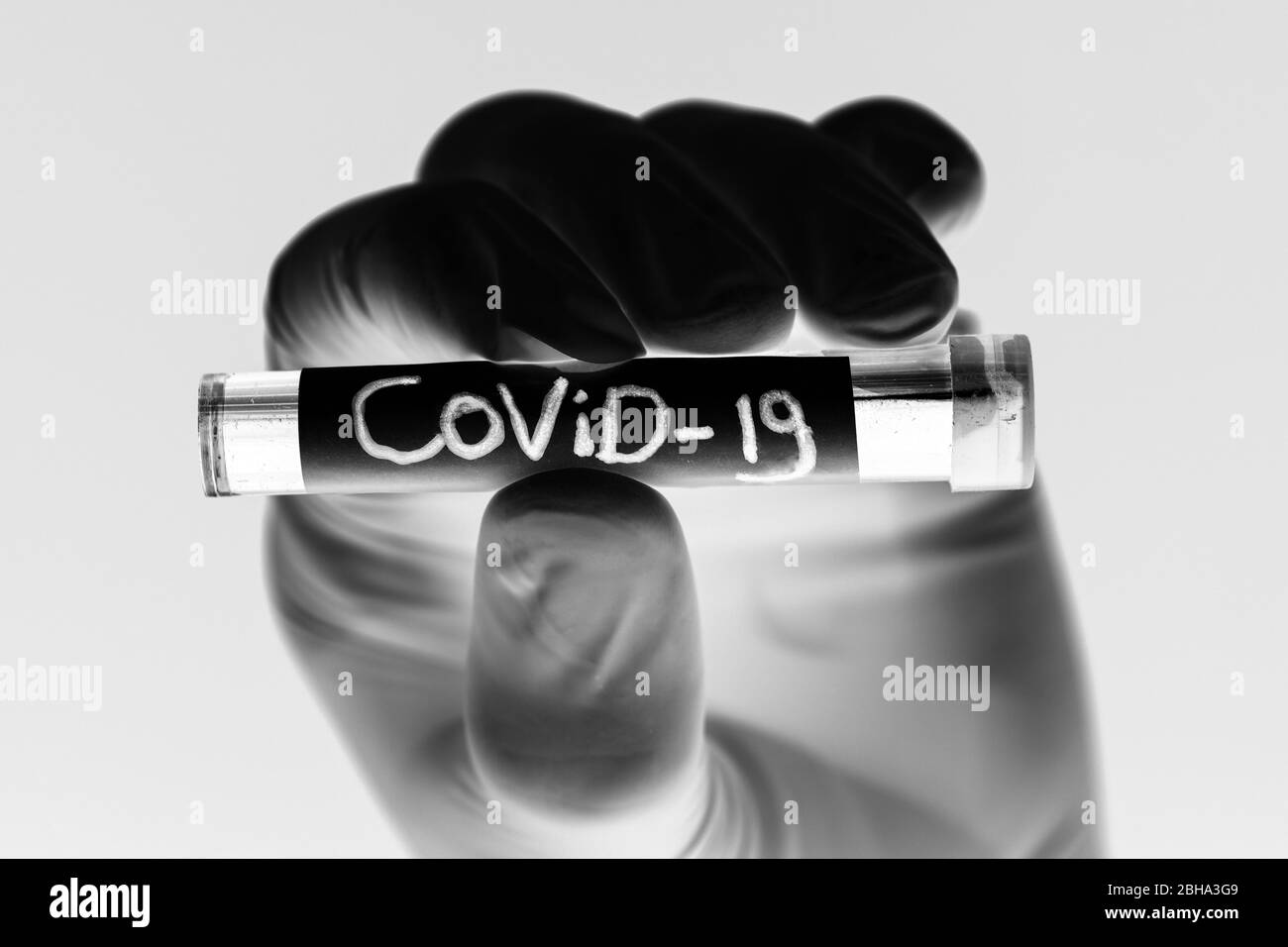 Covid-19 Blutprobe, Arzt mit medizinischen Handschuhen, die ein Blutrohr mit positiver Coronavirus 2019-nCoV Blutprobe halten. Schwarz und weiß Stockfoto