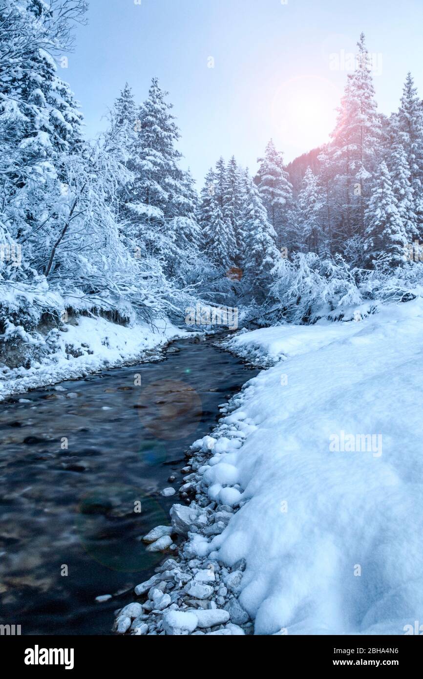 Verschneite Wälder nach dem Schneefall, dolomiten, bozen, Südtirol, italien Stockfoto