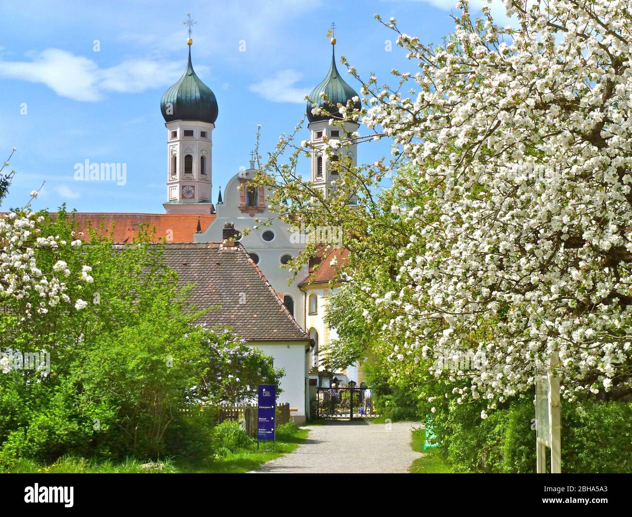 Deutschland, Oberbayern, Benediktbeuern, blühende Obstbäume Stockfoto