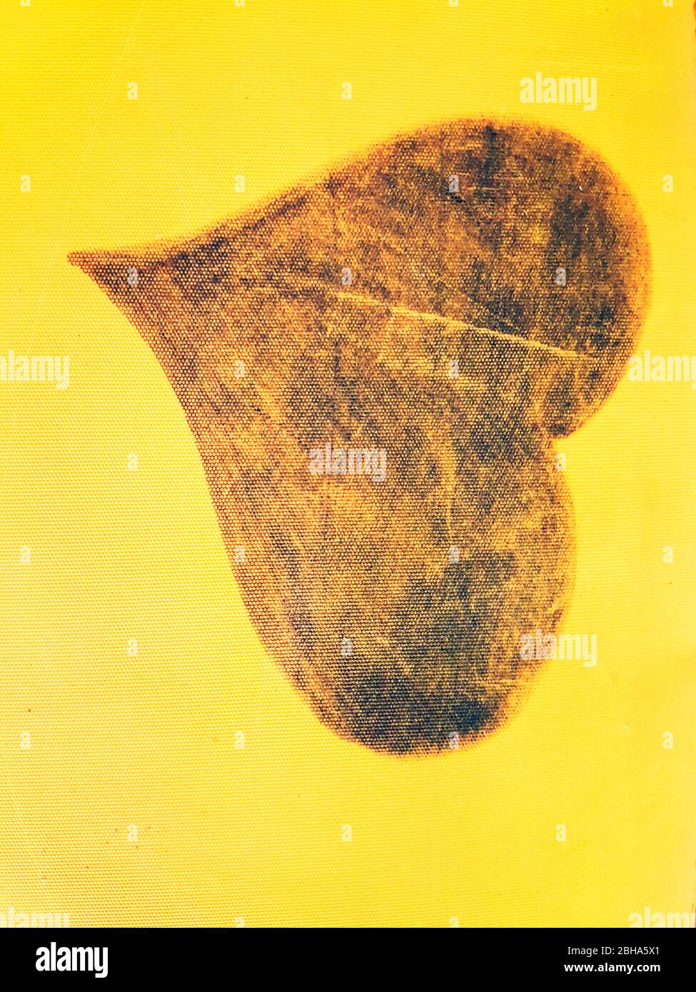 Herz als Symbol Stockfoto