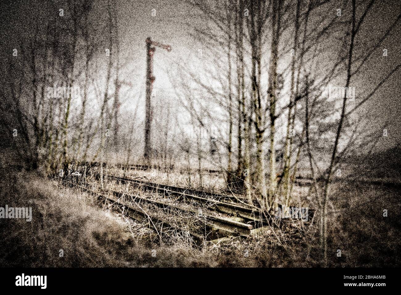 Signale, Schienen, gebrochene Schienen, Schalter, überwuchert, schrubben, Birke, Nebel, digital bearbeitet, RailArt Stockfoto