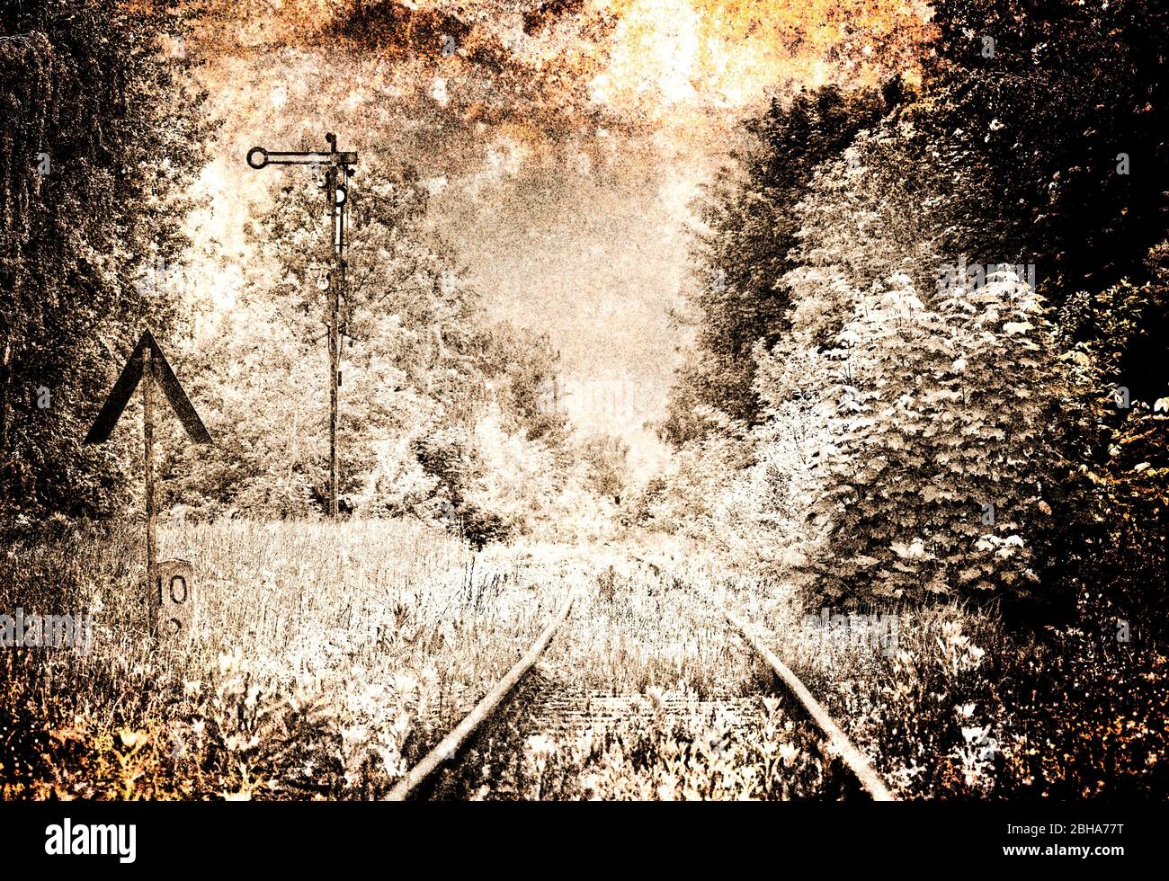 Track, Signal, Gras, Büsche, wild, digital bearbeitet, RailArt Stockfoto