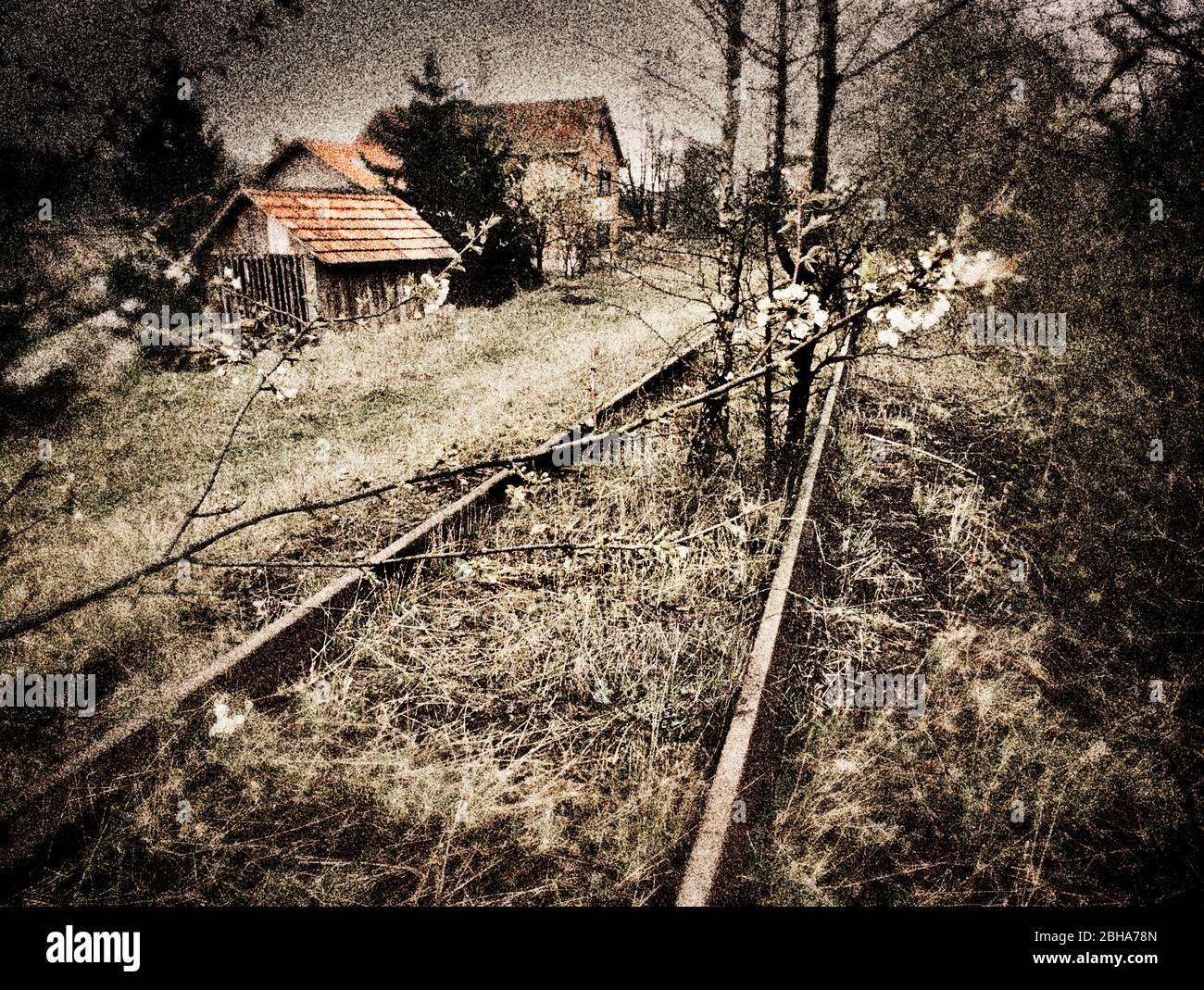 Track, Buschwerk, Gras, wild, digital bearbeitet, RailArt Stockfoto