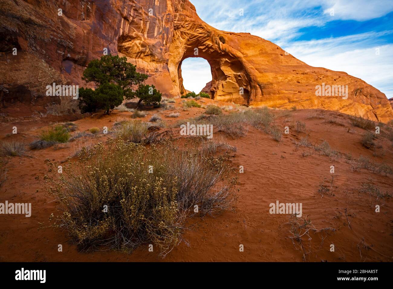 Wüstenlandschaft mit natürlicher Bogenfelsenbildung, Utah, USA Stockfoto