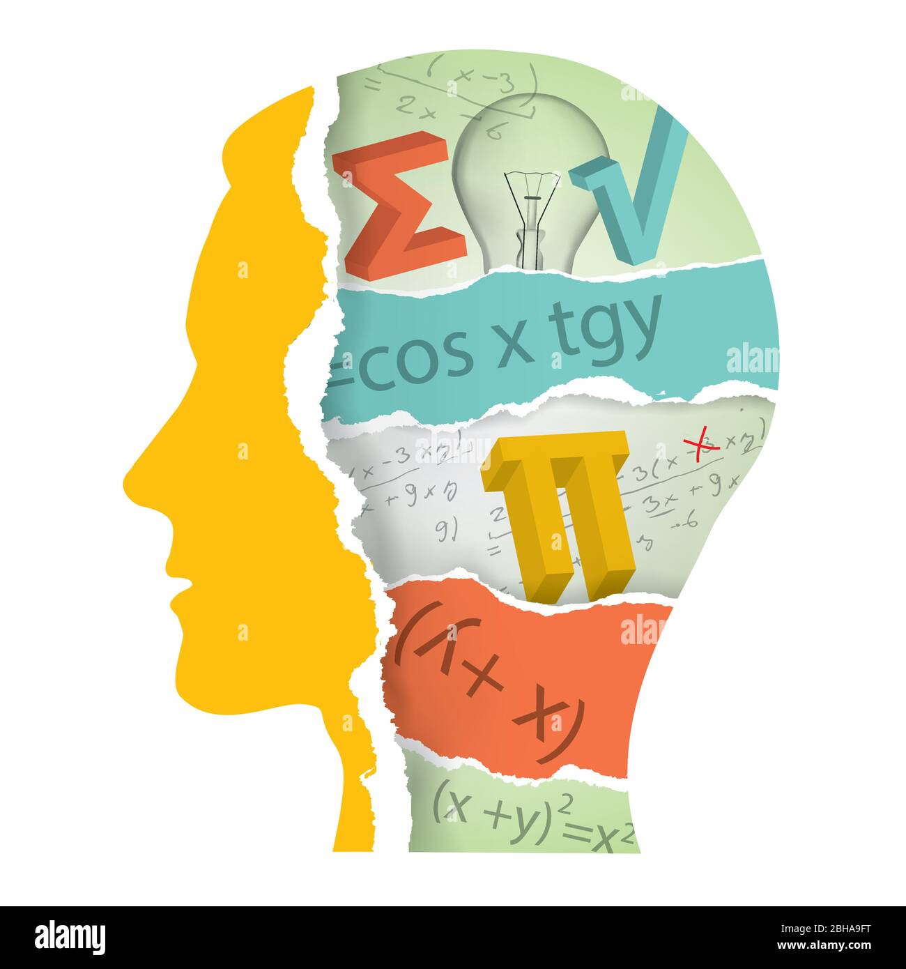 Student der Mathematik, zerrissene Papier, Bildungskonzept. Zerrissenes Papier stilisierte männliche Kopf mit zerrissenen Papierfragmenten mit Mathematik Symbole. Stock Vektor