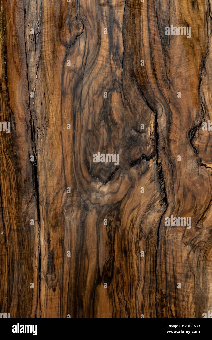 Detail aus schwarzem Walnuss Holz Maserung Stockfoto