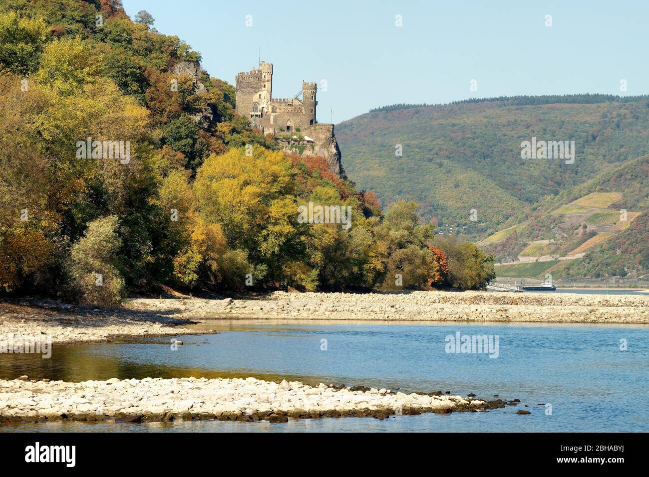 Blick auf Schloss Rheinstein bei Trechtingshausen, Trechtingshausen, UNESCO-Weltkulturerbe Oberes Mittelrheintal, Rheintal, Rheinland-Pfalz, Deutschland Stockfoto