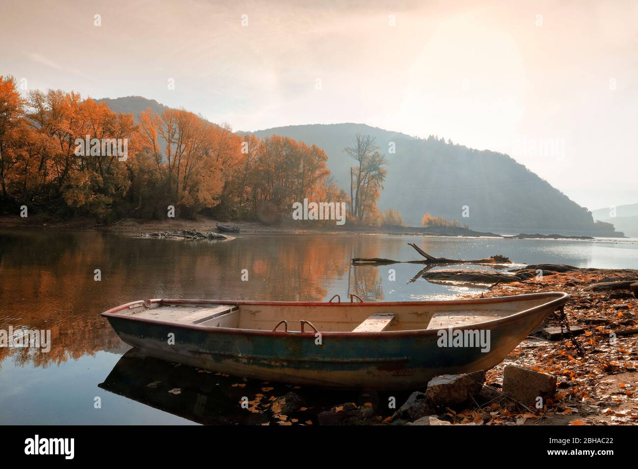 Der Rhein im Morgenlicht am Bacharacher Werth, Bacharach, UNESCO-Welterbe Oberes Mittelrheintal, Rheintal, Rheinland-Pfalz, Deutschland Stockfoto
