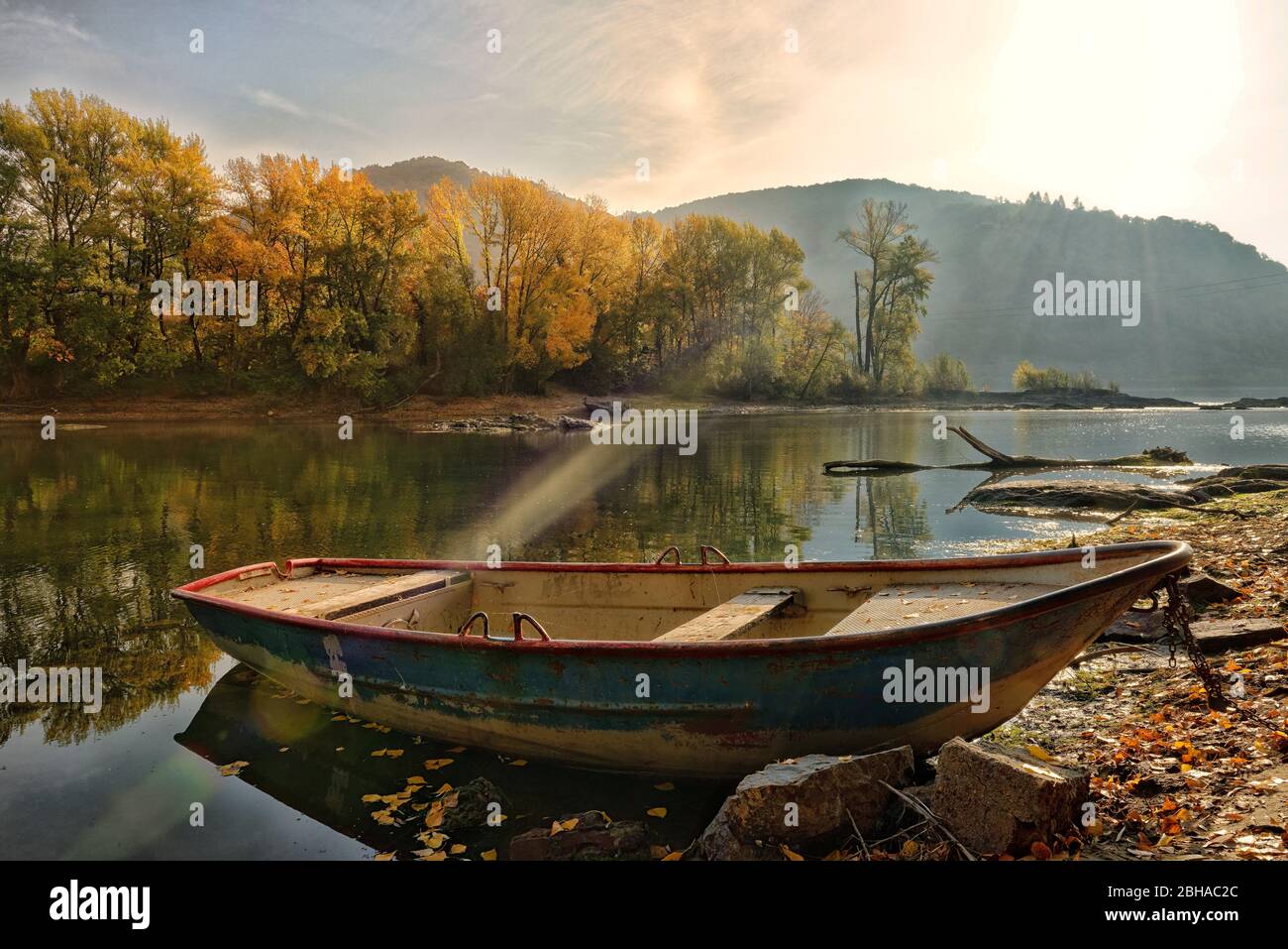 Der Rhein im Morgenlicht am Bacharacher Werth, Bacharach, UNESCO-Welterbe Oberes Mittelrheintal, Rheintal, Rheinland-Pfalz, Deutschland Stockfoto