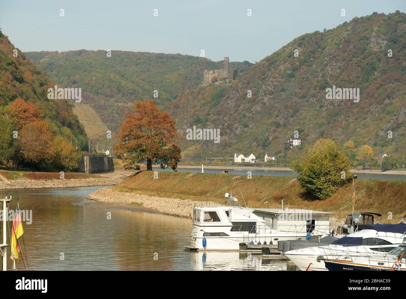 Blick von St. Goar über den Rhein auf die Burg Maus in St. Goarshausen-Wellmich, St. Goarshausen, UNESCO-Welterbe Oberes Mittelrheintal, Rheintal, Rheinland-Pfalz, Deutschland Stockfoto