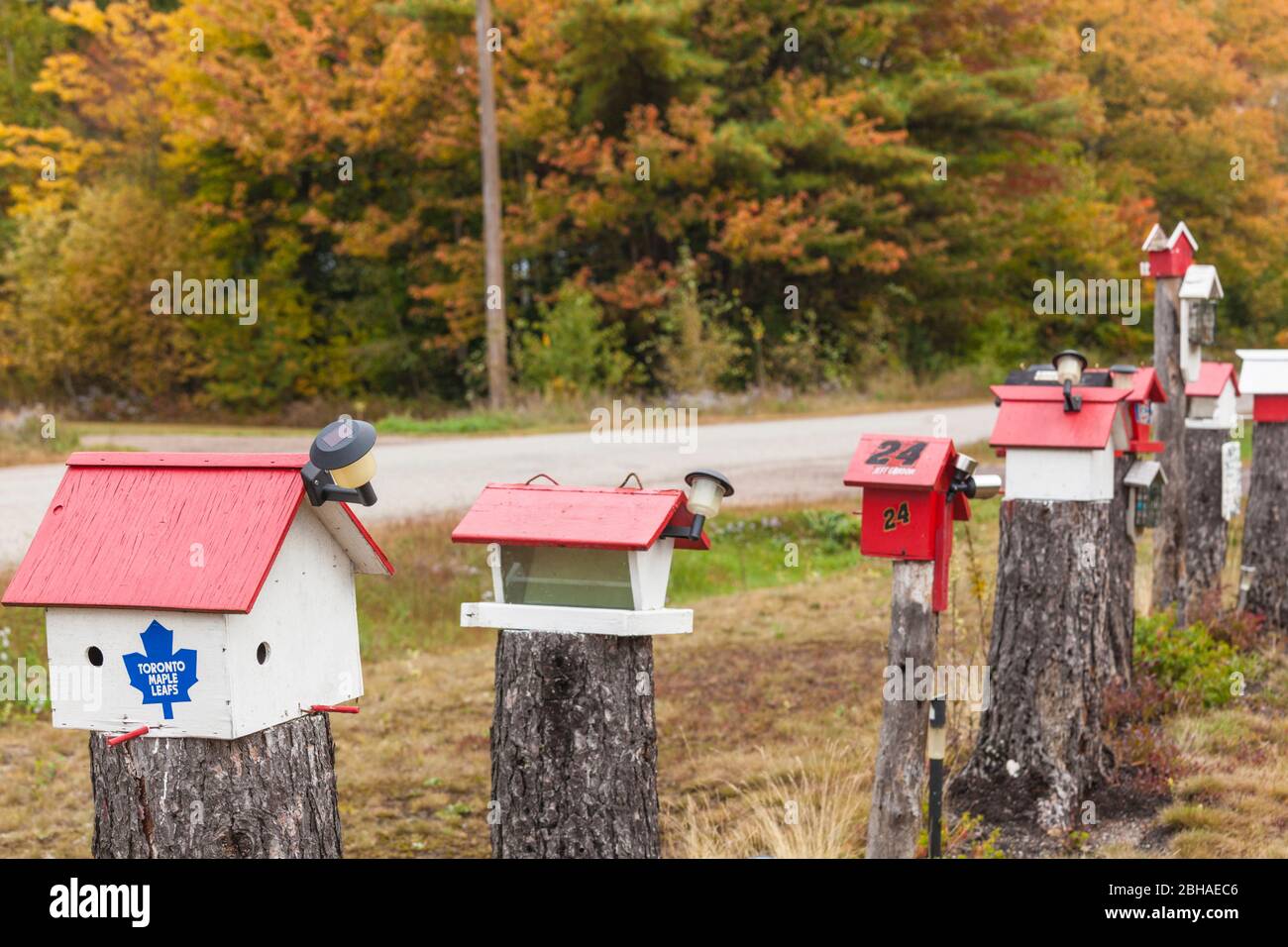 Kanada, New Brunswick, Kennebecasis River Valley, Smiths Creek, birdhouses Stockfoto