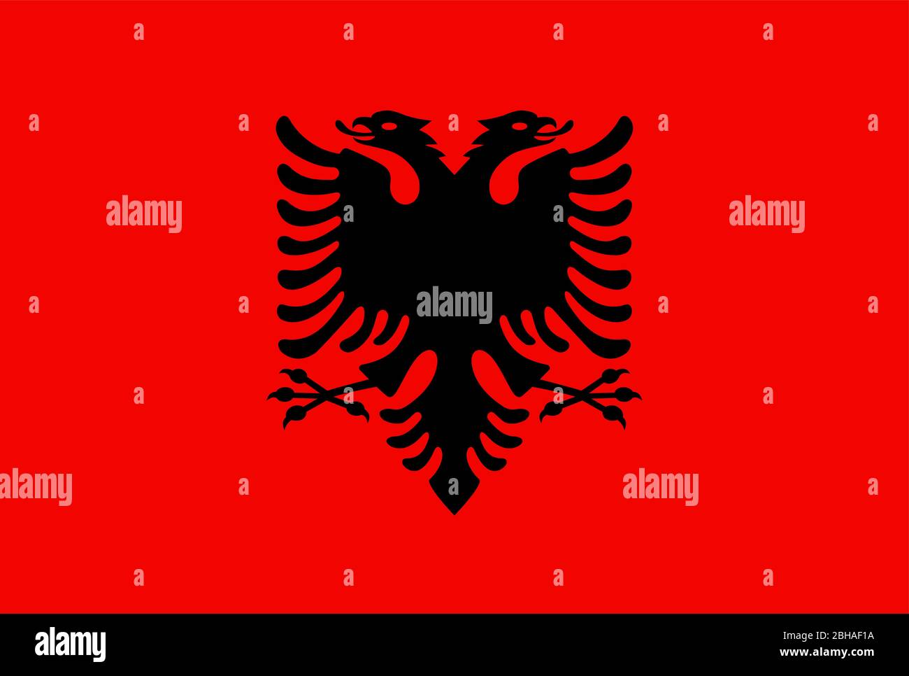 Flagge von Albanien Stock Vektor
