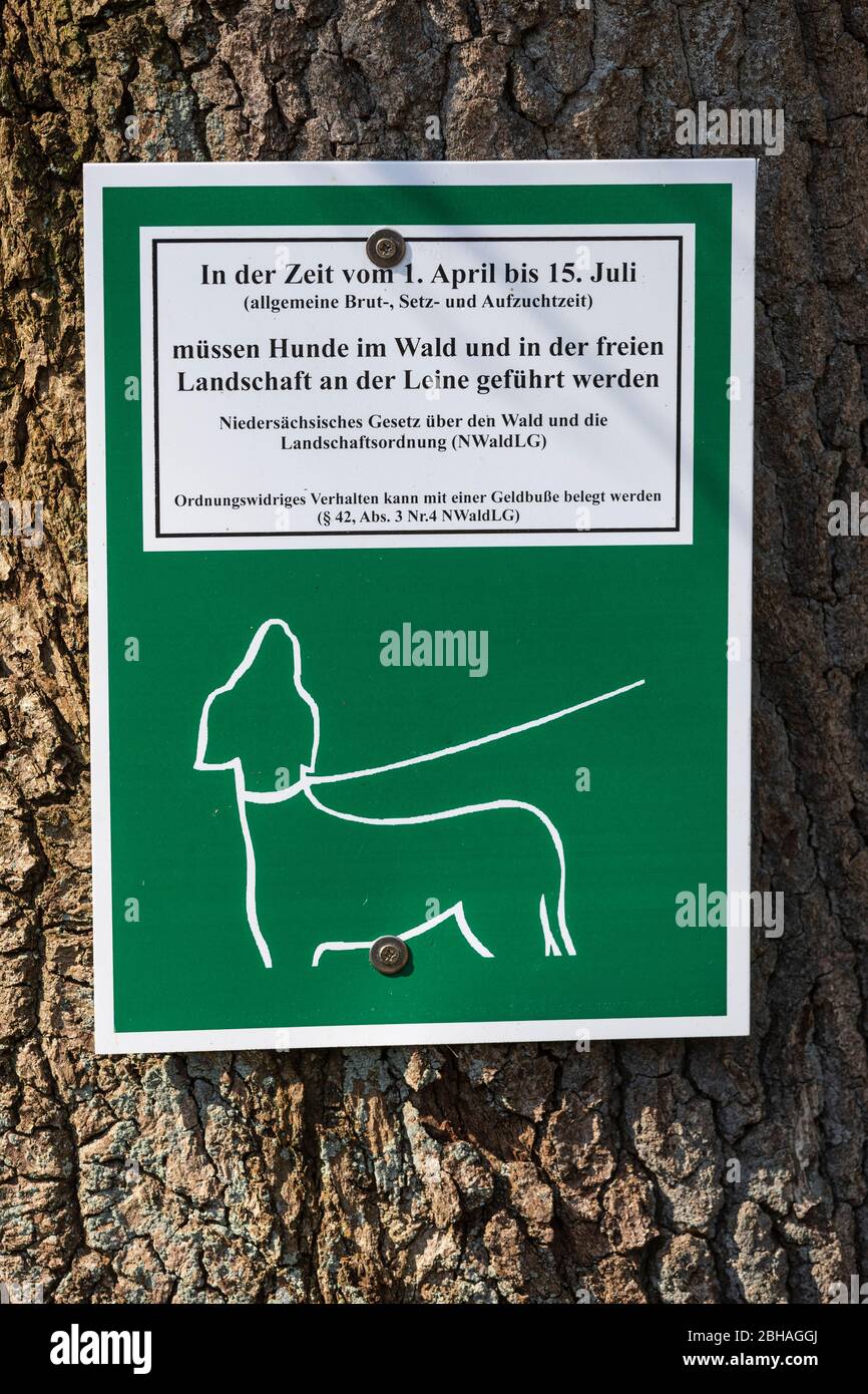 Schild für Hundebesitzer im Wald Stockfoto
