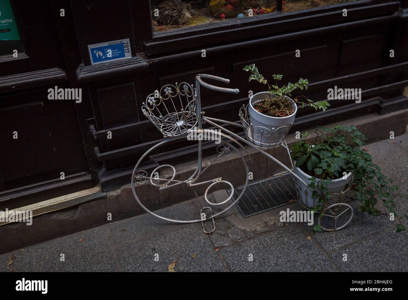 Mit Pflanzen Dekorieren Stockfotos Und Bilder Kaufen Alamy