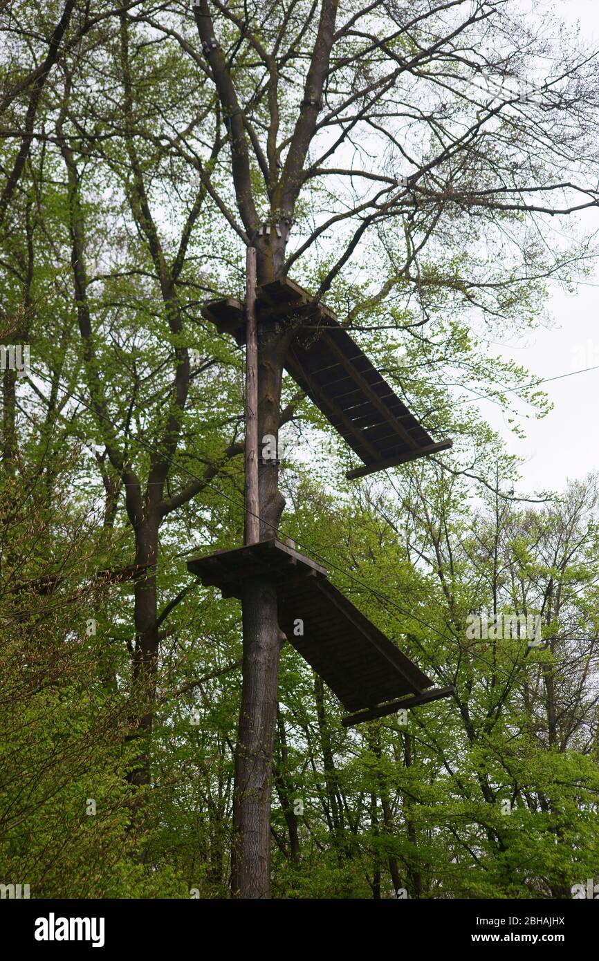 Ein Hindernis Kurs in einem kletterwald mit zwei hölzernen Plattformen in der Baumkrone. Stockfoto