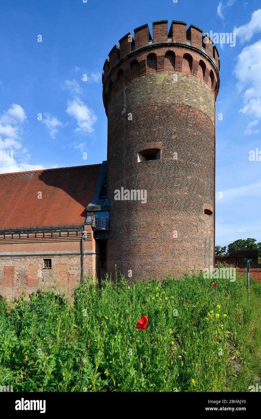 Juliusturm, ältestes Gebäude Berlins, Zitadelle, Bezirk Spandau, Berlin, Deutschland Stockfoto