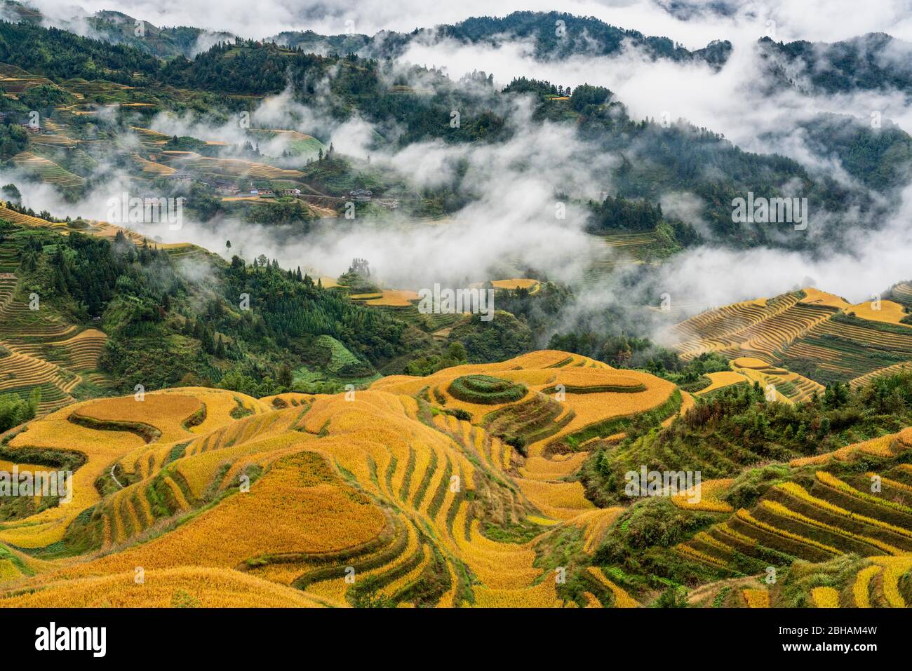 Asien, Volksrepublik China, Guilin, Huangluo Yao, Longji, Longshen, Nebel über den Longji Reisterrassen Stockfoto