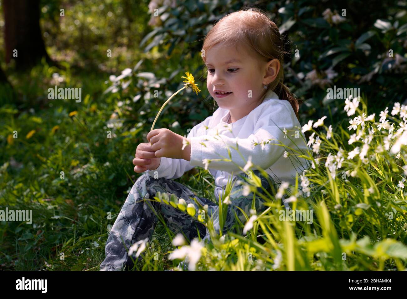 Kleines Mädchen sitzt im Frühling auf einer Wiese Stockfoto