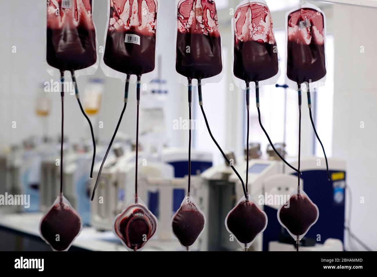 Blutbeutel auf der Transfusionsstation eines Krankenhauses Stockfoto