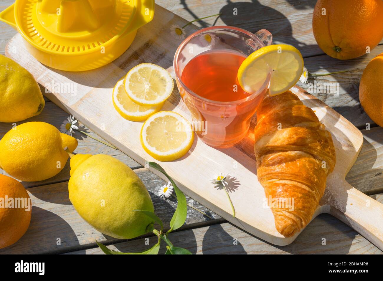 Eine Tasse Zitrusfruchttee, Croissant-Frühstück, Zitronen und Orangen in der Morgensonne auf Holztisch Stockfoto