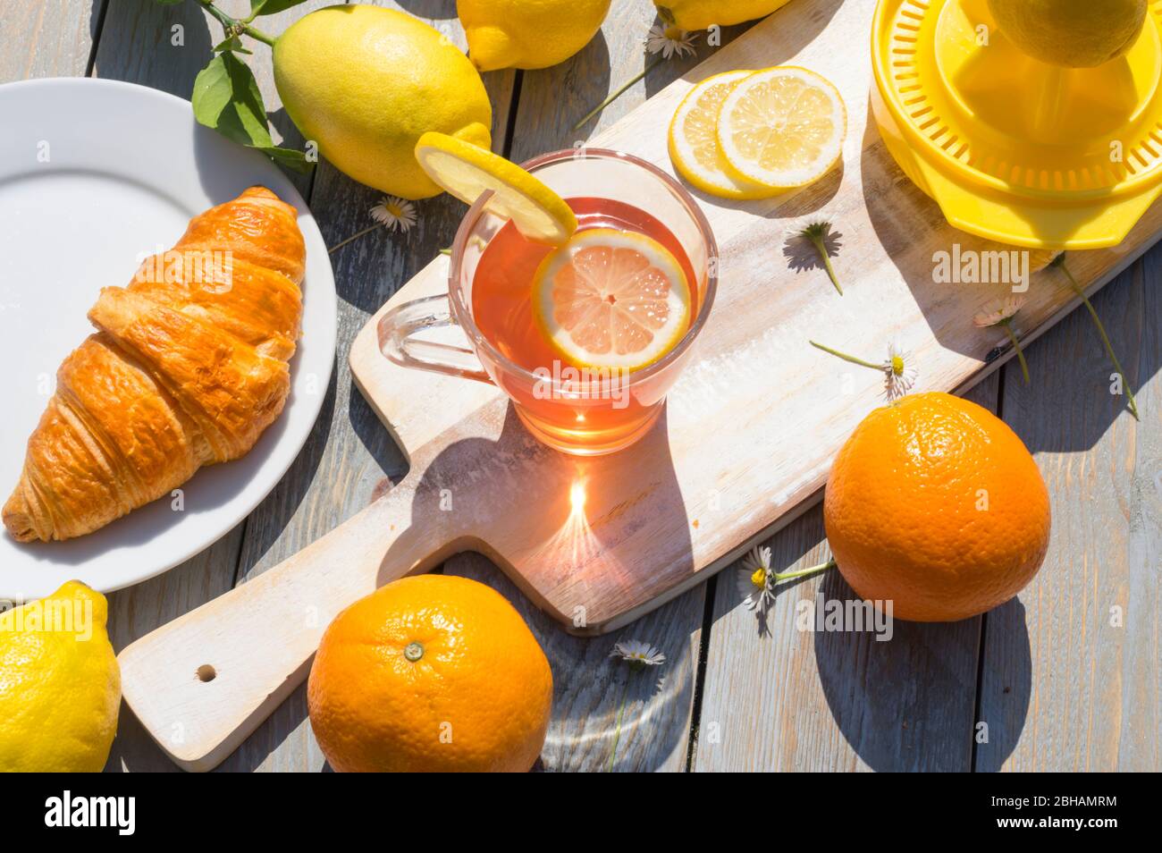 Eine Tasse Zitrusfruchttee, Croissant Frühstück, Zitronen und Orangen in der Morgensonne auf Holzhintergrund Stockfoto