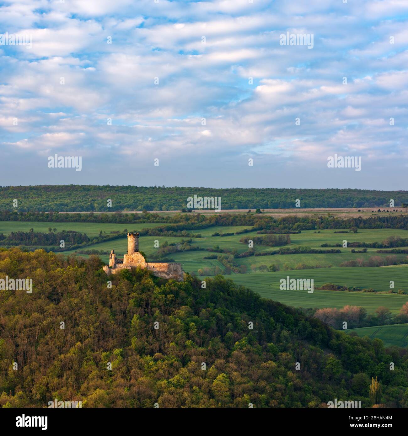 Deutschland, Thüringen, Mühlberg, Blick auf die Ruinen der Mühlburg, eine Burg des Schlossensembles 'drei Gleichen', Morgenlicht Stockfoto