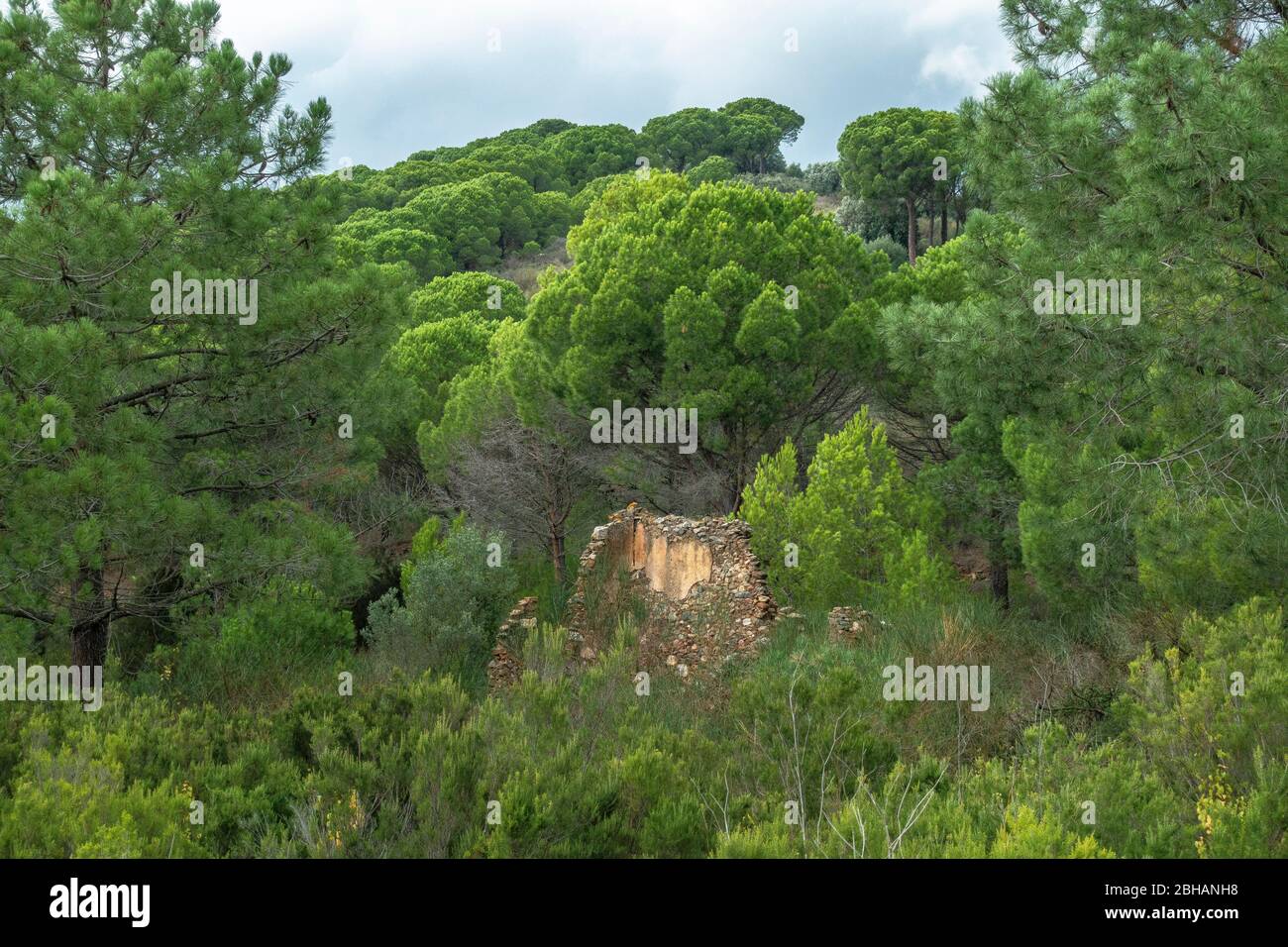 Europa, Spanien, Katalonien, Costa Brava, Portbou, Alte Ruine am Wegesrand auf der Camí de Ronda kurz vor Colera Stockfoto