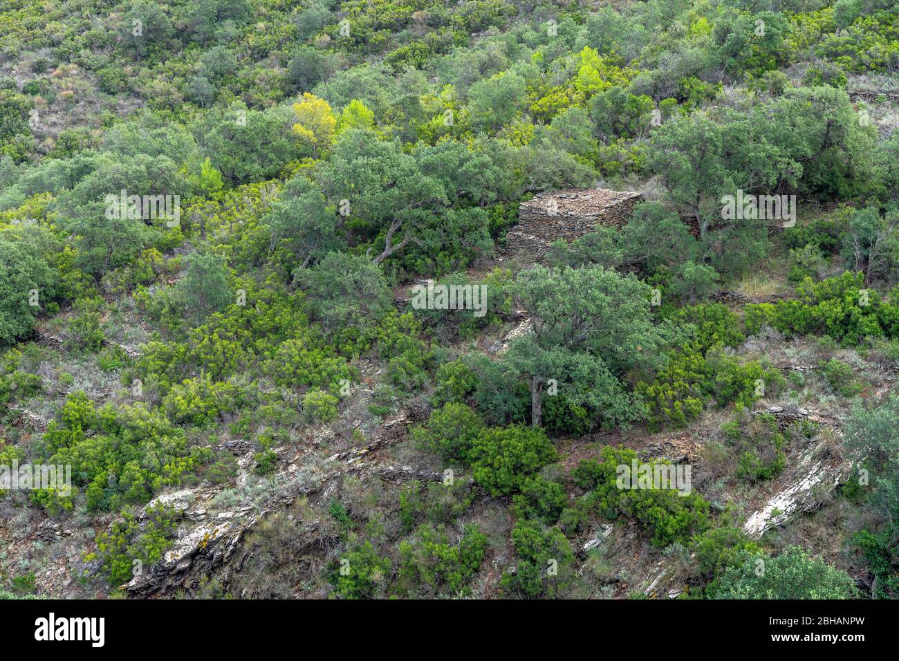 Europa, Spanien, Katalonien, Costa Brava, altes Steinhaus im Naturpark Cap de Creus Stockfoto