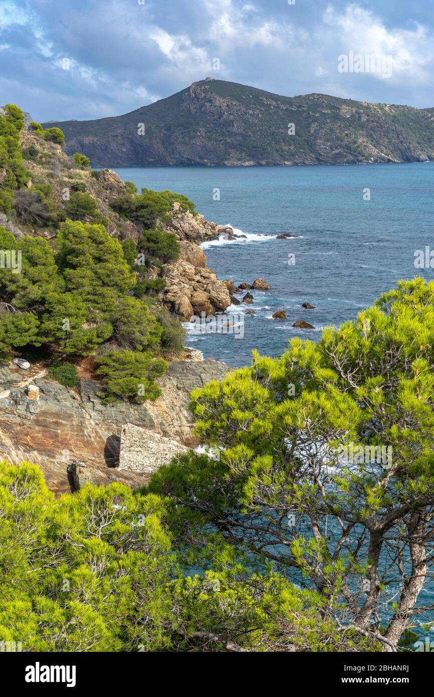 Europa, Spanien, Katalonien, Costa Brava, Blick entlang der Küste auf dem Weg vom Cap Norfeu nach Roses Stockfoto